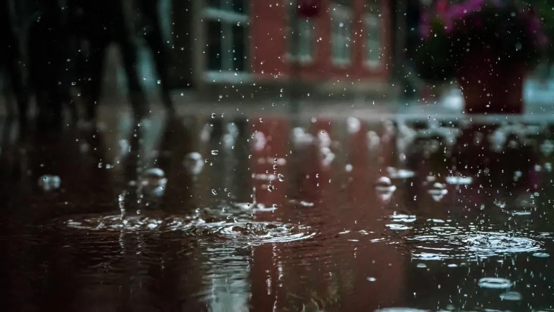 一下雨就犯困，真不是因为懒！